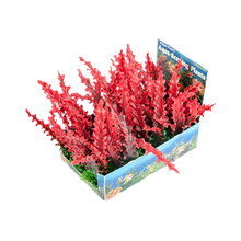 Penn Plax Red Bunch Aquarium Plant Large