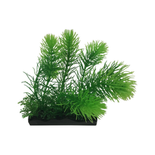 Penn Plax Water Sprite Bunch Aquarium Plant Large