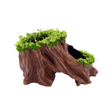 Penn-plax Aqua Flora Living Root Fish Ornament