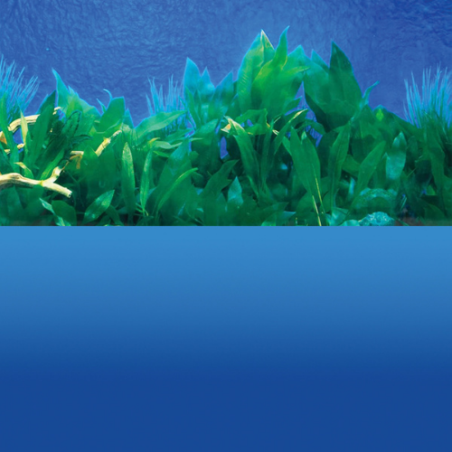 Penn-plax Aquarium Background up to 10 Gallons