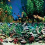 Penn-plax Aquarium Background up to 29 Gallons