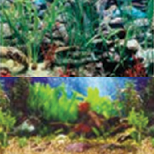 Penn-plax Aquarium Background up to 120 Gallons