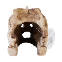Penn-plax Rhino Skull Fish Ornament