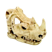 Penn-plax Rhino Skull Fish Ornament