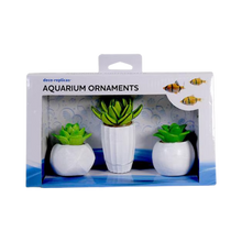 Penn-plax Succulent Aquarium Kit Fish Ornament 3 pk