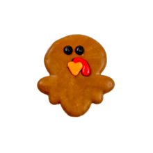 Bosco & Roxy Fall Turkey Dog Treat Cookie