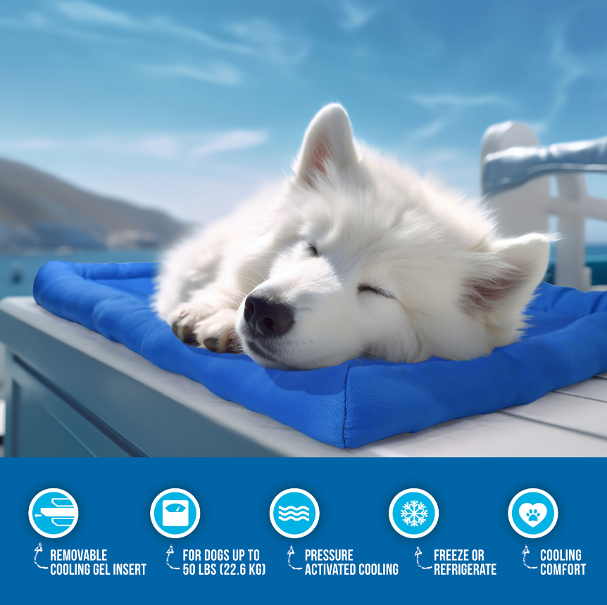 Royal Pet Companion Gear Cooling Pet Bed 36 x 23 in