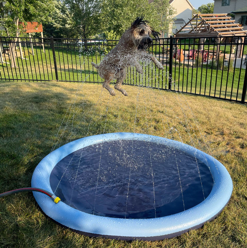 Royal Pet Companion Gear Dog Splash Pad 60 in