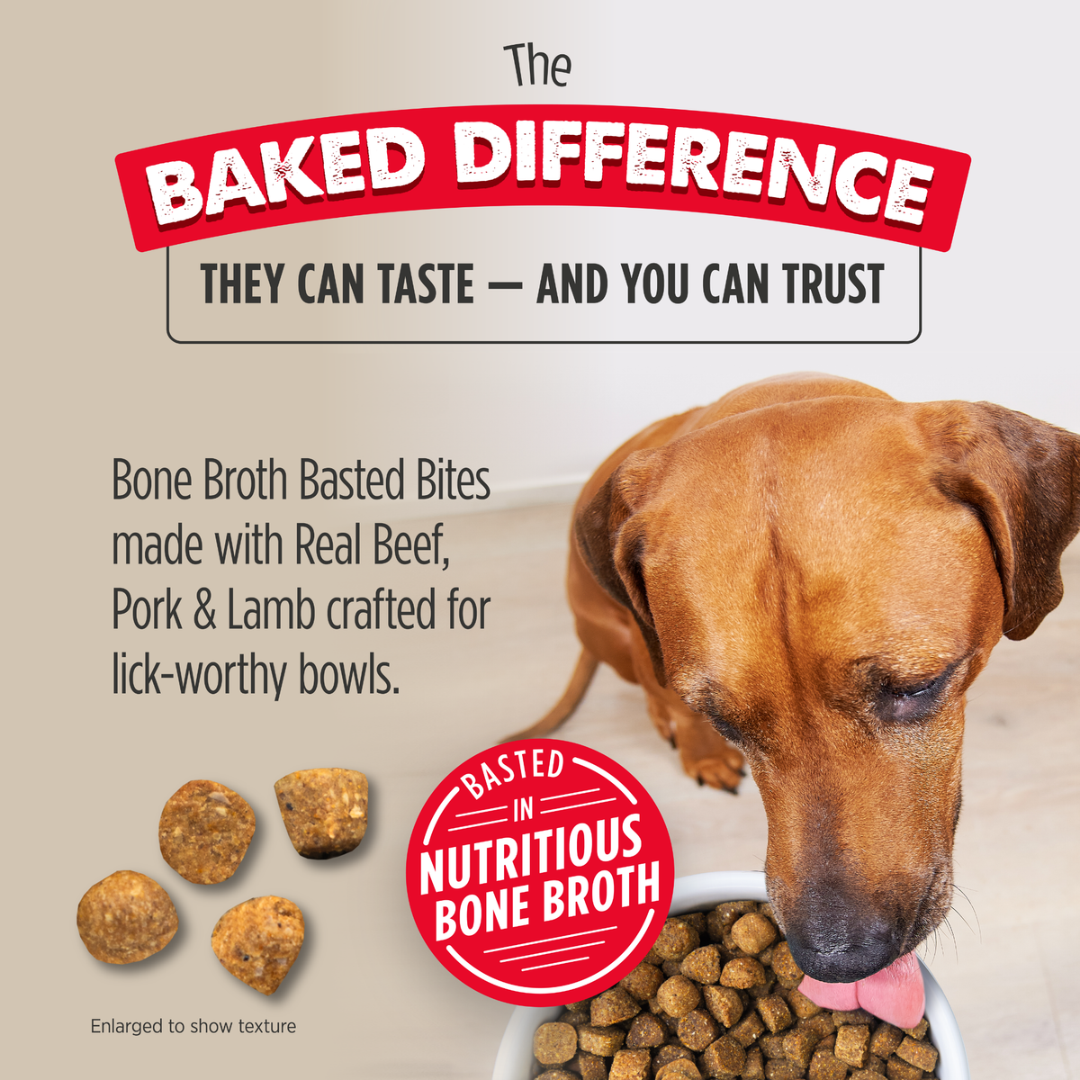 Nulo Culinary Harvest Oven-Baked Turkey & Herring Recipe for Adult Dogs