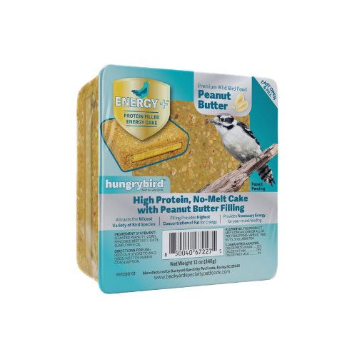 Hungrybird Peanut Butter Energy Plus Protein Filled Energy Cake
