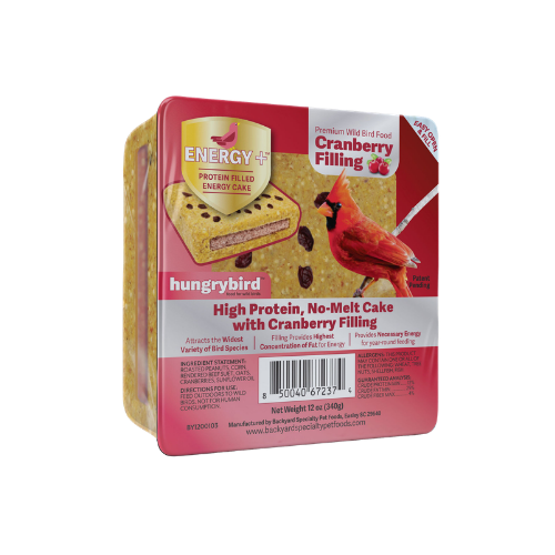 Hungrybird Cranberry Energy Plus Protein Filled Energy Cake