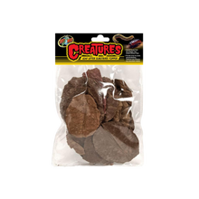 Zoo Med Creatures Leaf Litter Substreate Topper