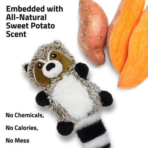 Playology Sweet Potato Scented Raccoon Plush Dog Toy Small Dog