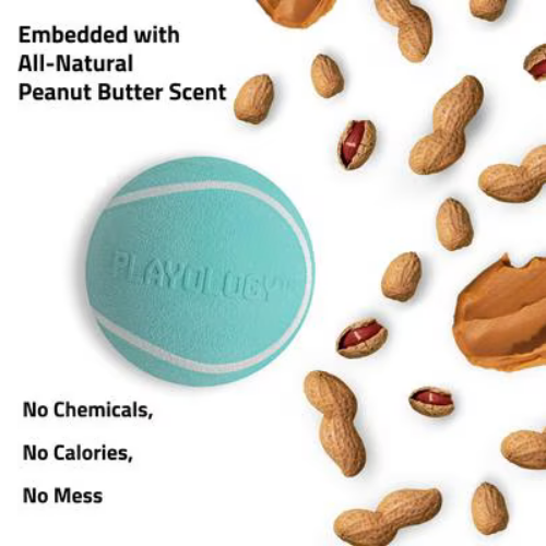 Playology Peanut Butter Scented Squeaky Chew Ball Dog Toy Extra-Large