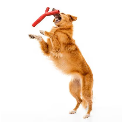 Playology Beef Scented Fetch Stick Dog Toy Large Dog