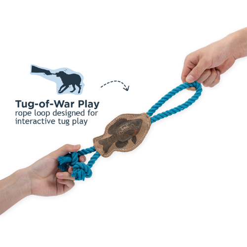 Tall Tails Natural Leather Fish Dog Toy 12 in