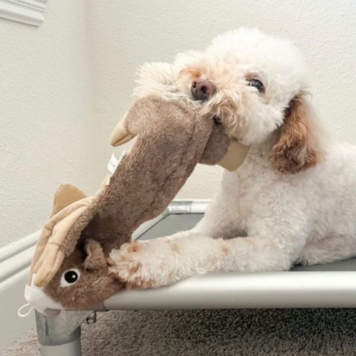 Tall Tails Stuffless Squirrel with Squeaker Dog Toy 16 in