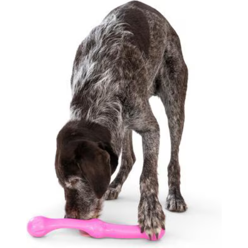 West Paw Zwig  Hot Pink Tough Dog Chew Toy Large