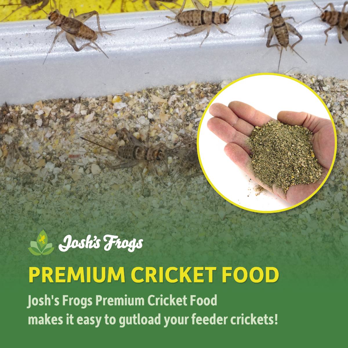 Josh's Frogs Premium Cricket Cuisine Cricket Food 24 oz