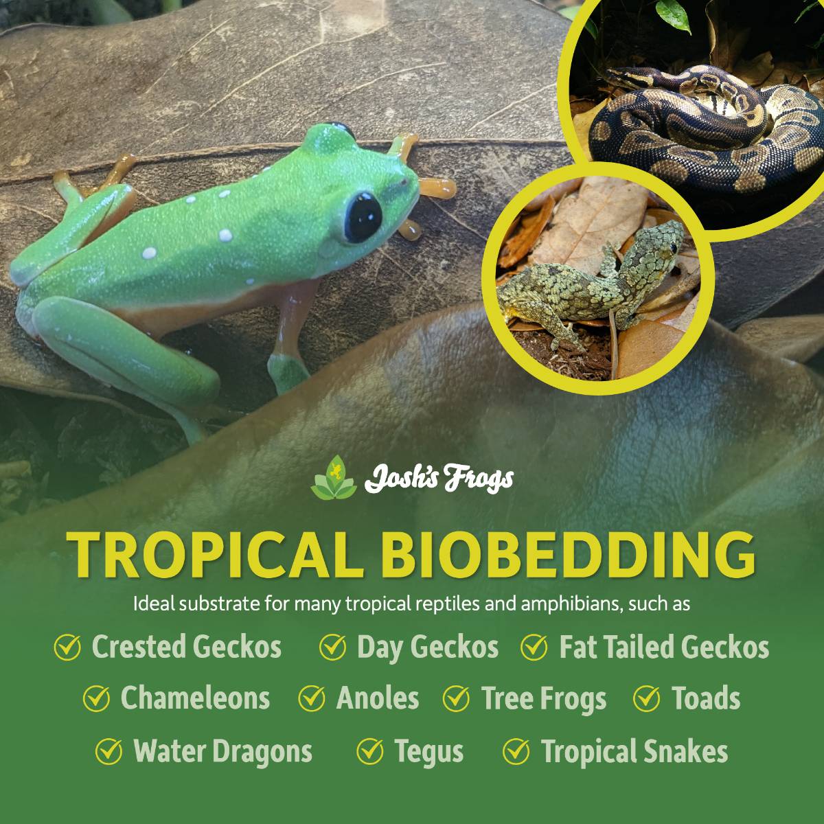 Josh's Frogs Tropical BioBedding Bioactive Reptile Substrate 4 qt