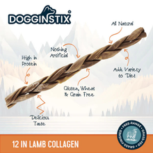 Dogginstix Braided Lamb Collagen Dog Chew 12 in