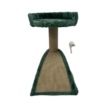 A&E Green Cozy Cat Crest