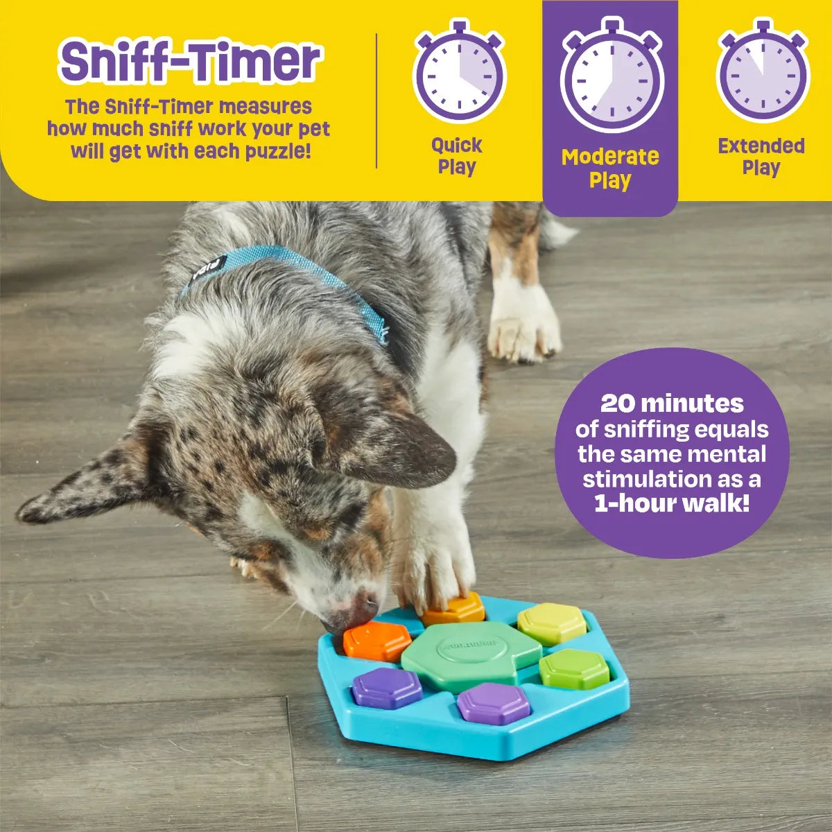Brightkins Spin and Seek Hexagon Treat Puzzle