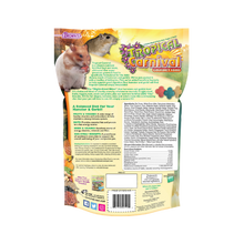 Browns Tropical Carnival Gourmet Pet Hamster Food 2 lb