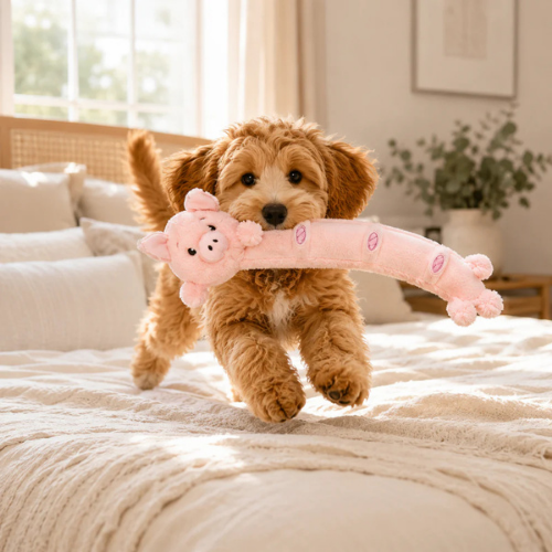 Growl Noodles Hamlet the Pig Plush Dog Toy