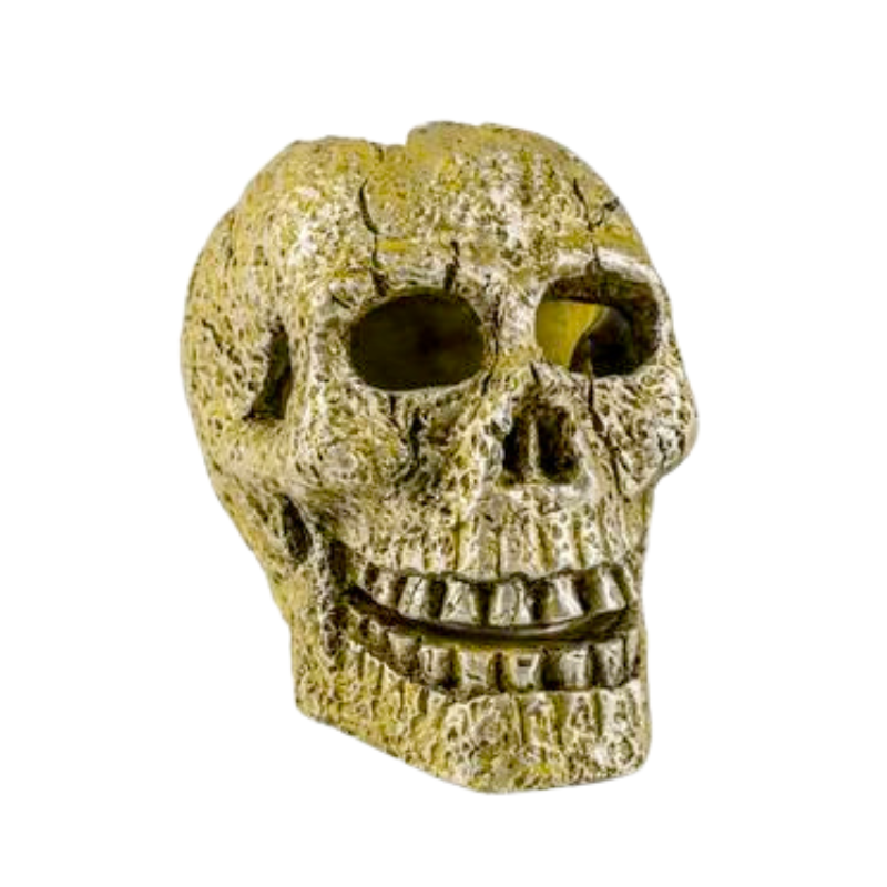 Tetra GloFish Skull Aquarium Ornament