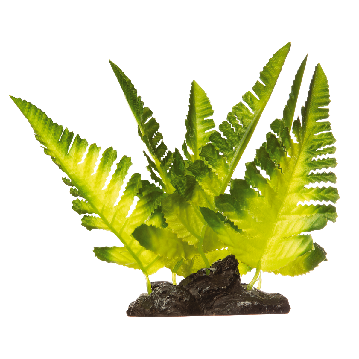 Tetra GloFish Yellow Fern Aquarium Plant