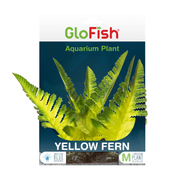 Tetra GloFish Yellow Fern Aquarium Plant