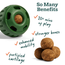 Woof Hip and Joint Pops Pupsicle Refills Lickable Dog Treats Large