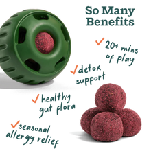 Woof Allergy and Immunity Pops Pupsicle Refills Lickable Dog Treats Large