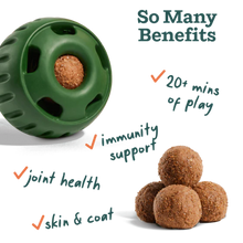 Woof All-In-1 Health Pops Pupsicle Refills Lickable Dog Treats Large