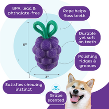 Outward Hound Dental Grapes Dental Chew Toy and Interactive Treat Stuffer Medium
