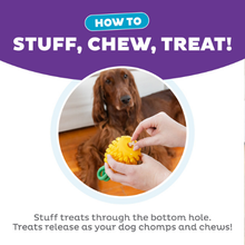 Outward Hound Dental Pineapple Dental Chew Toy and Interactive Treat Stuffer