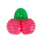 Outward Hound Gummiez Cherries Dog Chew Toy