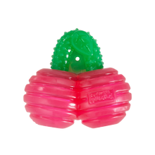Outward Hound Gummiez Cherries Dog Chew Toy