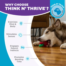 Outward Hound Gummiez Cherries Dog Chew Toy