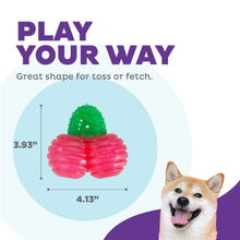 Outward Hound Gummiez Cherries Dog Chew Toy