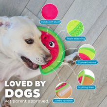 Outward Hound Tough Skinz Durable Watermelon Dog Toy with Two Tough Layers Medium