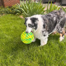 Kong Flexball Sport Ball Dog Toy XL Dog