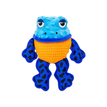 Kong Tropics Rattlez Frog Tough Squeaky Plush Dog Toy Medium/Large Dog