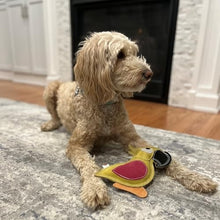 Spot Dura-Fuse Parrot Leather Dog Toy, Assorted 8 in