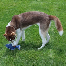 Spot Dura-Fuse Fish Leather Dog Toy, Assorted 7 in