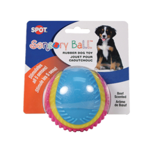 Spot Beef-Scented Sensory Ball Dog Toy 3.5 in