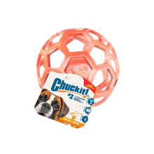 Chuckit! Hol-EE Roller Exercise Ball Dog Toy Large