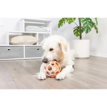 Chuckit! Hol-EE Roller Exercise Ball Dog Toy Large