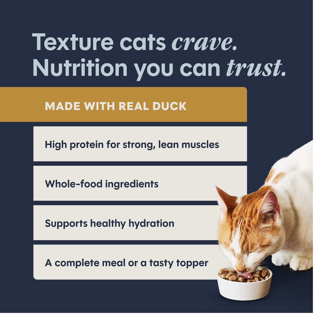 Instinct Flaked Duck Entrée in Savory Gravy Wet Cat Food